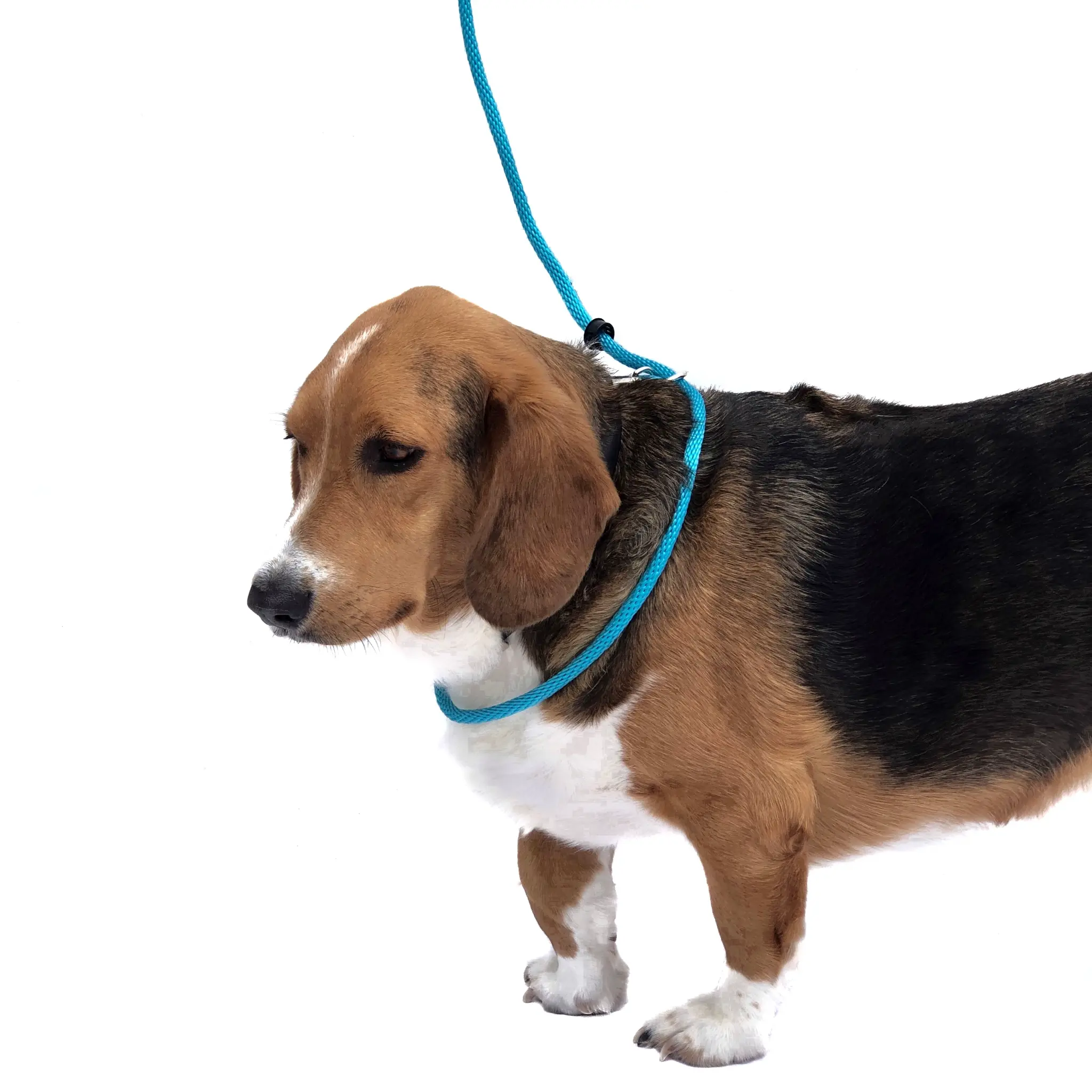 Step 1: Put NSFR on like a slip lead