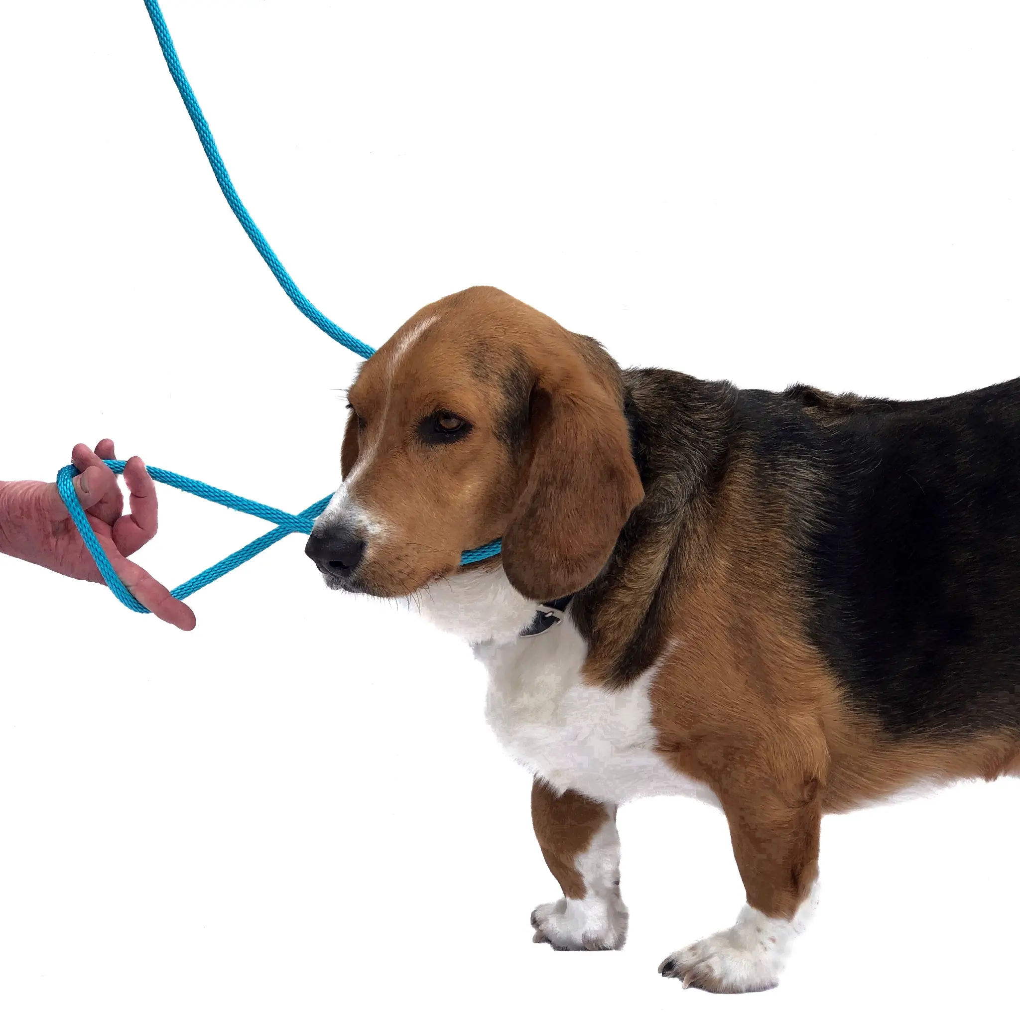 Step 2: Make the loop large enough to form the figure 8