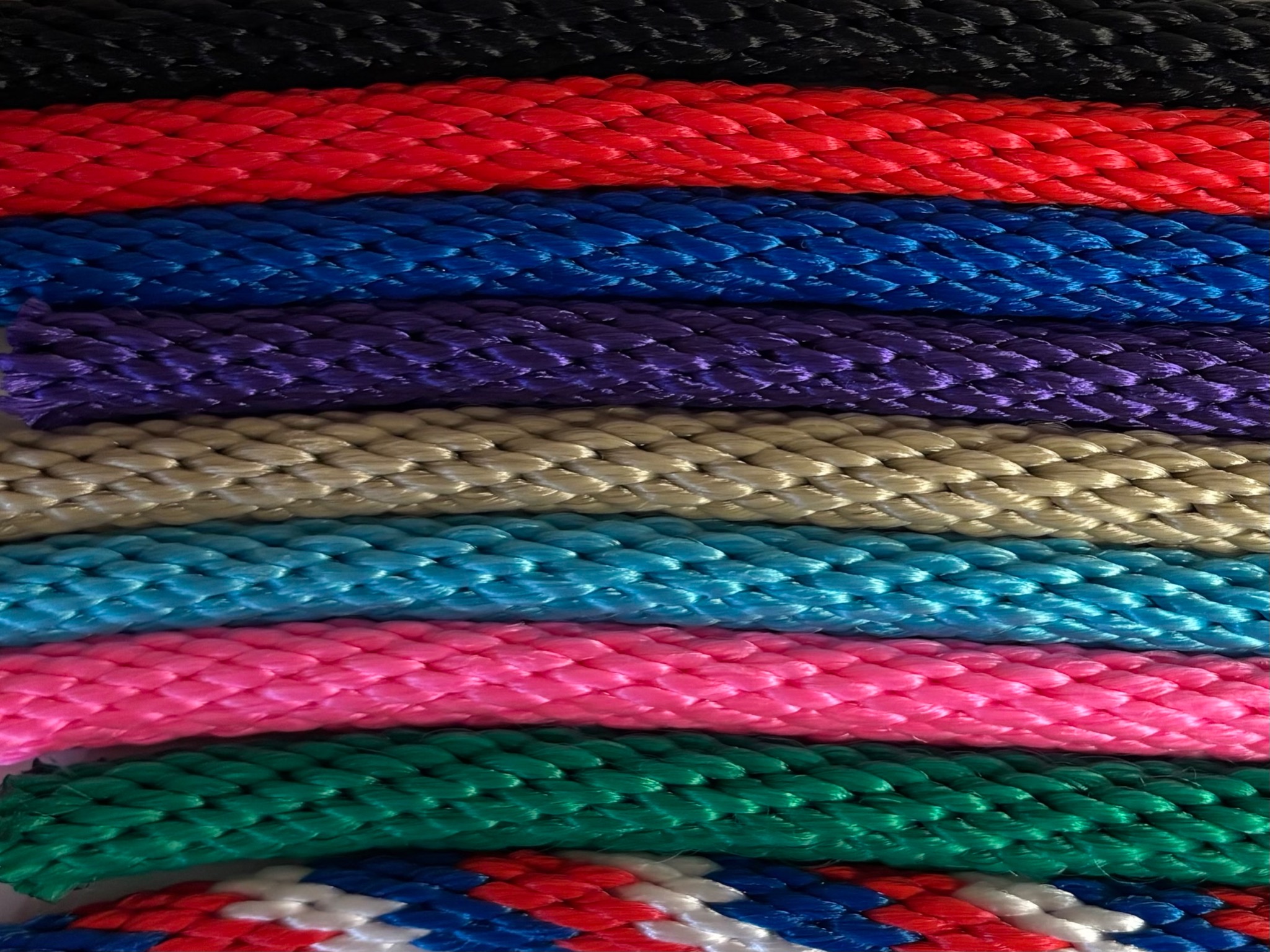 Available colors for Not So Fast Rover Head Halter